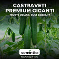 Castraveți Gigant - direct din grădina ta