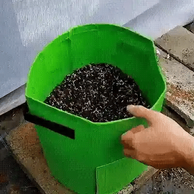 Sac de Plantare - cultiva orice, oriunde